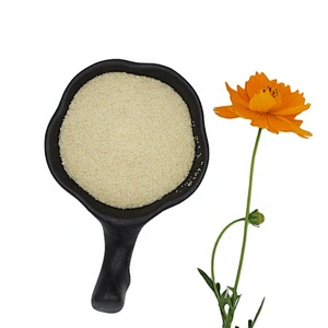Gelatin Wholesale Factory Marine Unflavored Gelatin Food Additives CAS 9000-70-8 Pork Skin Gelatin